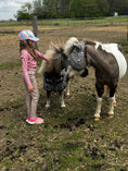 Load image into Gallery viewer, Sophia's StrideStyle Kids 1/4 Zip Long Sleeve, Light Weight