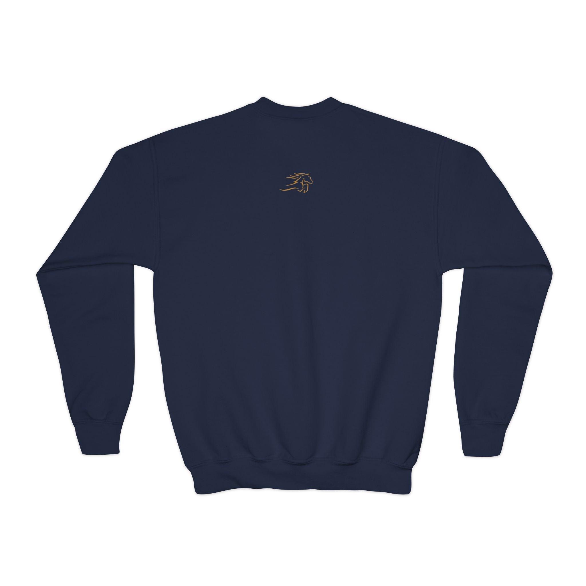Cozy Youth Crewneck Sweatshirt, Perfect for School, Birthdays, Casual Wear, Gift for Kids, Custom Design Available
