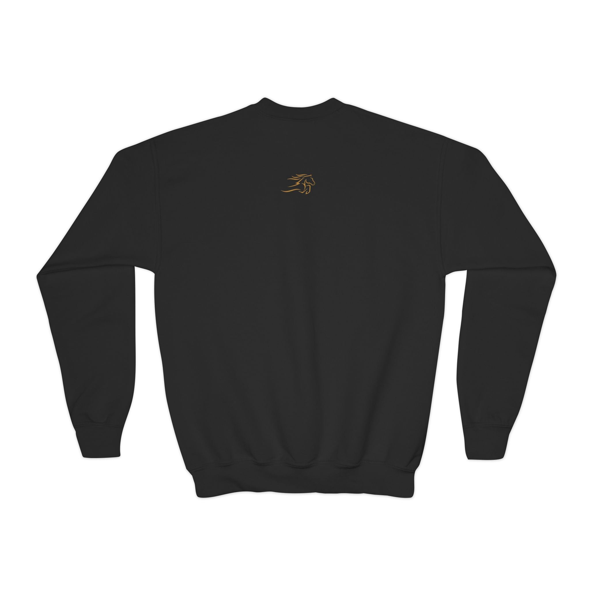 Cozy Youth Crewneck Sweatshirt, Perfect for School, Birthdays, Casual Wear, Gift for Kids, Custom Design Available
