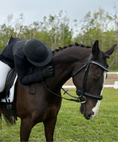 Load image into Gallery viewer, Dream Ride Padded Bridle -Black