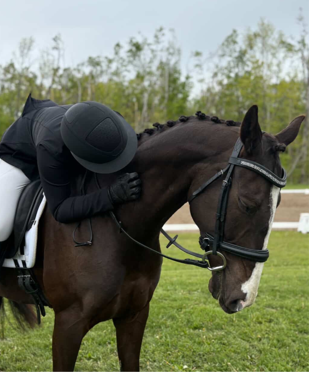 Dream Ride Padded Bridle -Black