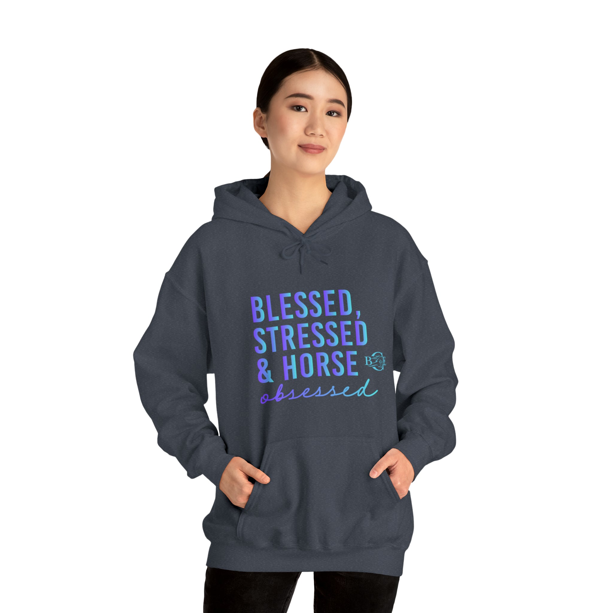 Blessed, Stressed & Horse Obsessed Hoody