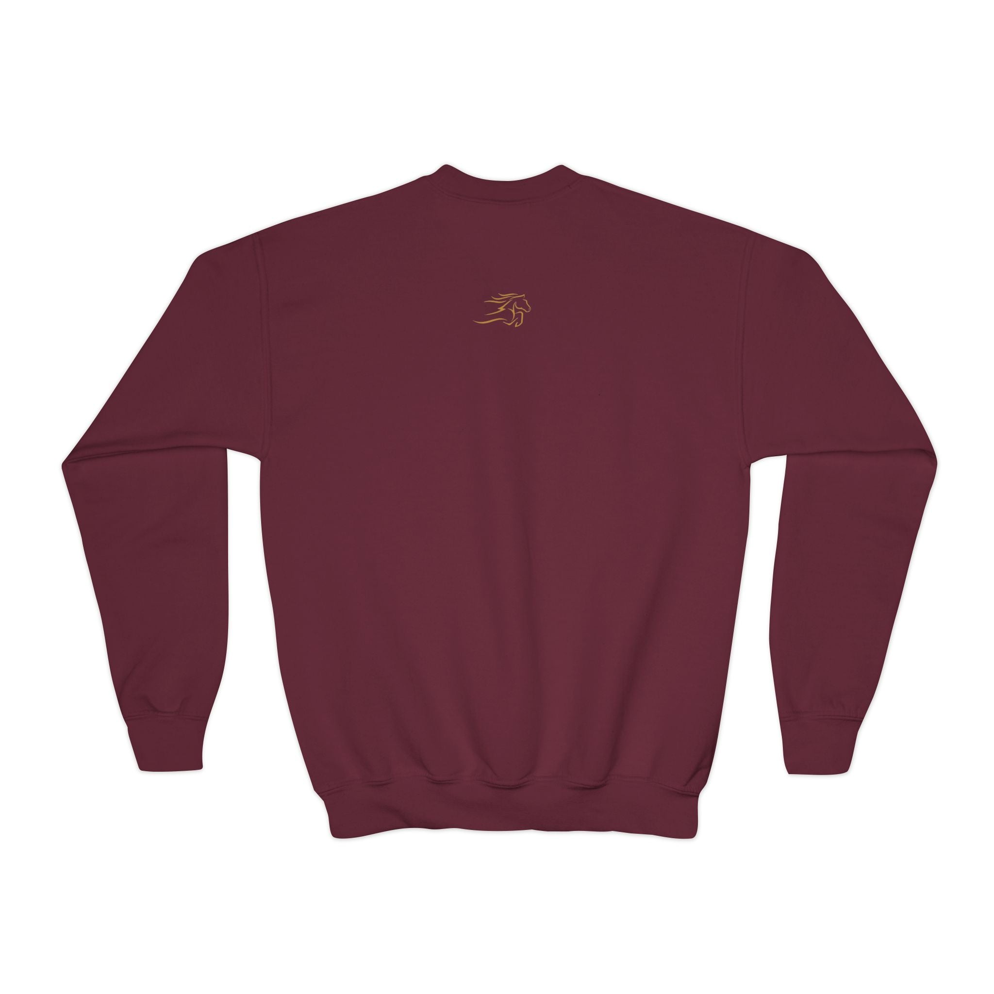 Cozy Youth Crewneck Sweatshirt, Perfect for School, Birthdays, Casual Wear, Gift for Kids, Custom Design Available