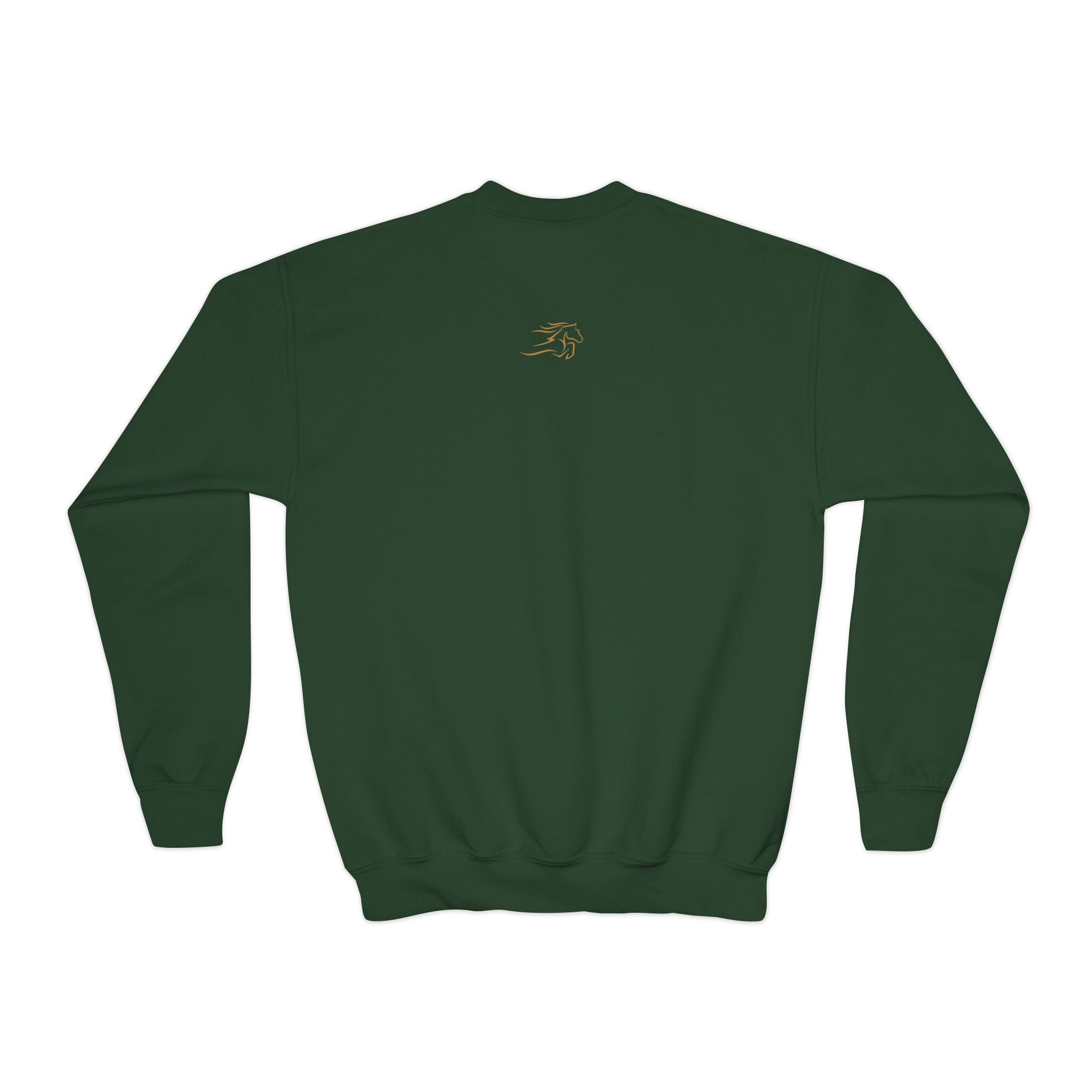 Cozy Youth Crewneck Sweatshirt, Perfect for School, Birthdays, Casual Wear, Gift for Kids, Custom Design Available