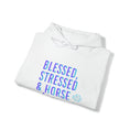 Load image into Gallery viewer, Blessed, Stressed & Horse Obsessed Hoody