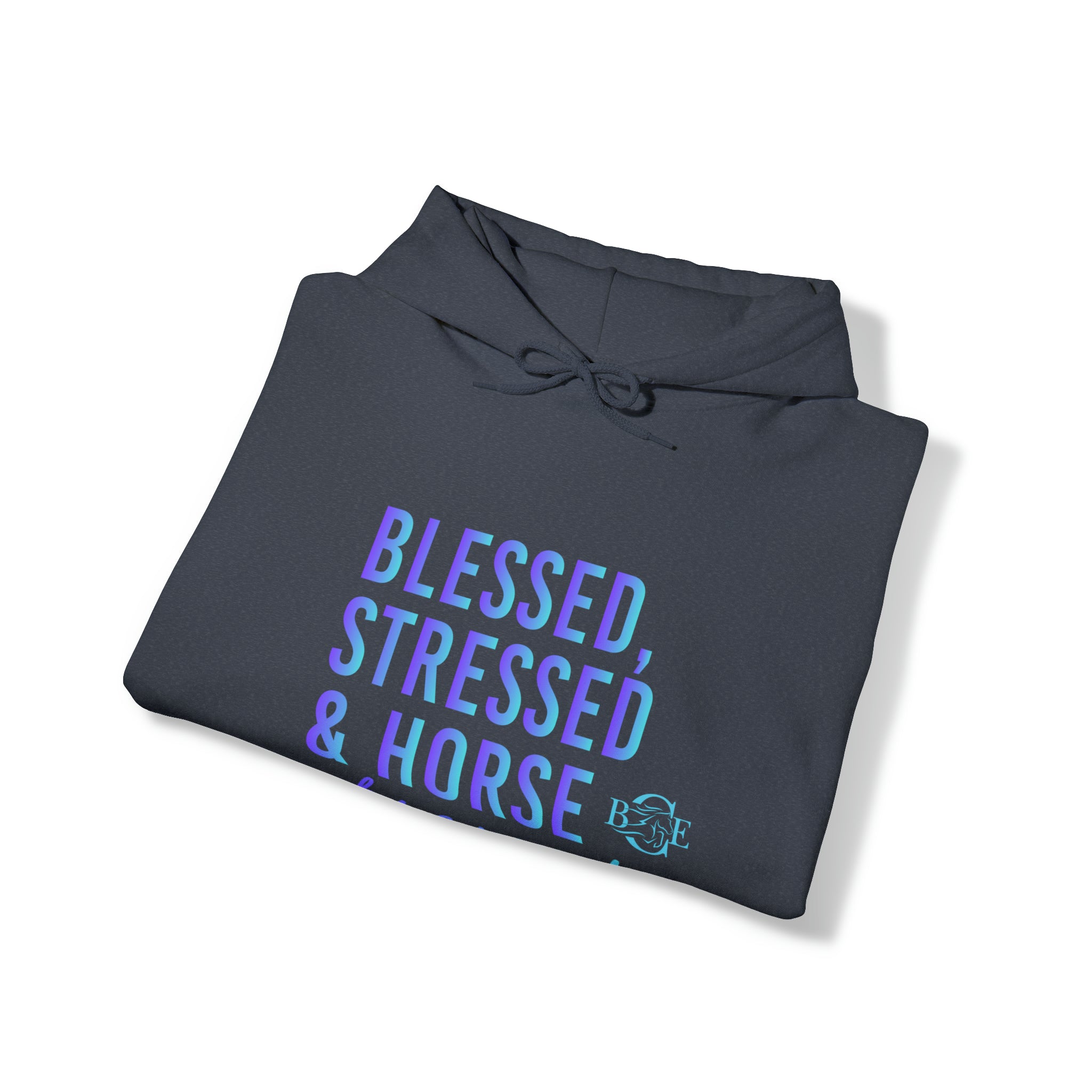 Blessed, Stressed & Horse Obsessed Hoody