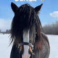 Load image into Gallery viewer, Oliver 2.0 -Zip Up with XL Hood - New Color -