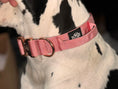 Load image into Gallery viewer, Lux Tactical Collar- Lana's Legacy 1.5"