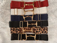 Load image into Gallery viewer, Chance Bit Belt, Elastic Gold Bit