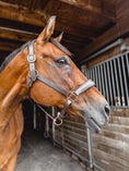 Load image into Gallery viewer, NEW ! Charm Lux 2.0 - Rose Gold, (non)Sparkle, Padded Halter