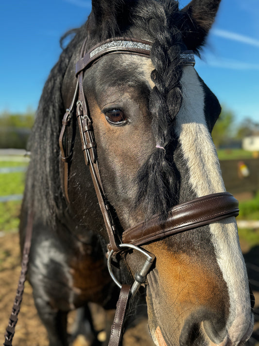 Dream Ride Padded Bridle