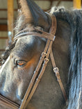 Load image into Gallery viewer, Dream Ride Padded Brow Band