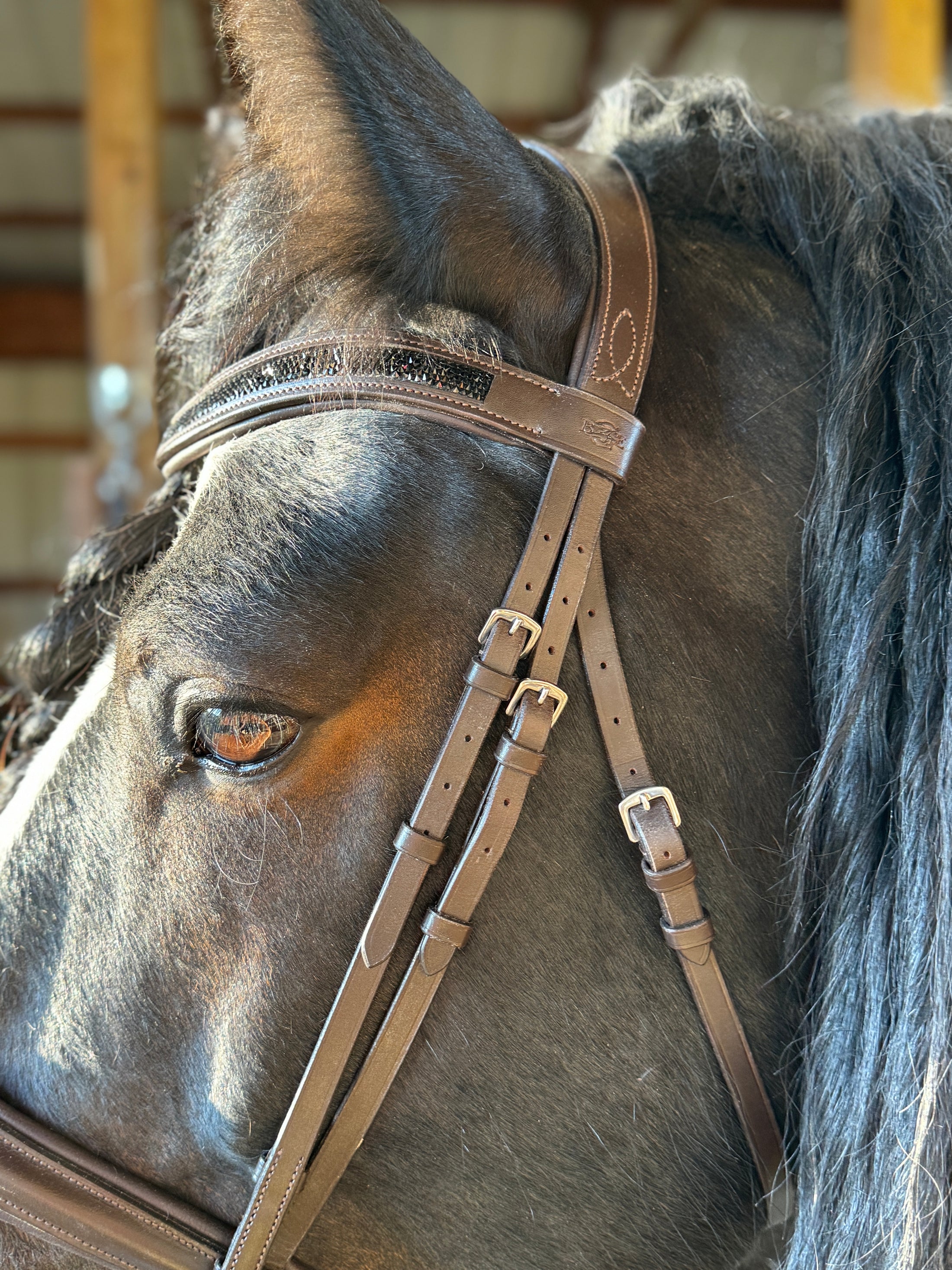 Dream Ride Padded Brow Band