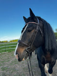 Load image into Gallery viewer, Dream Ride Padded Brow Band