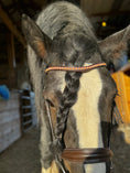 Load image into Gallery viewer, Dream Ride Padded Bridle