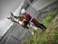 Load image into Gallery viewer, Natalie 1/4 Zip, Rosewood - Long Sleeve
