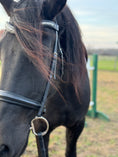 Load image into Gallery viewer, Dream Ride Padded Bridle -Black