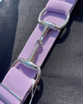 Load image into Gallery viewer, Chance Bit Belt, Elastic