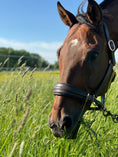 Load image into Gallery viewer, Charm Lux - Rose Gold, Sparkle, Padded Halter
