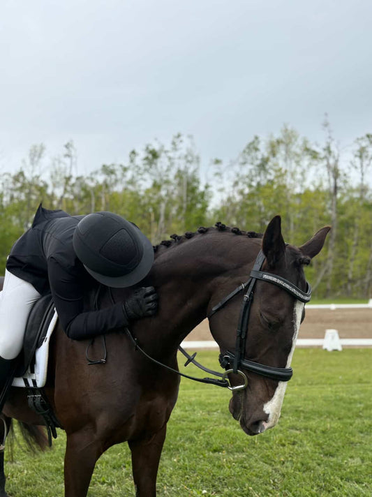Dream Ride Padded Bridle -Black