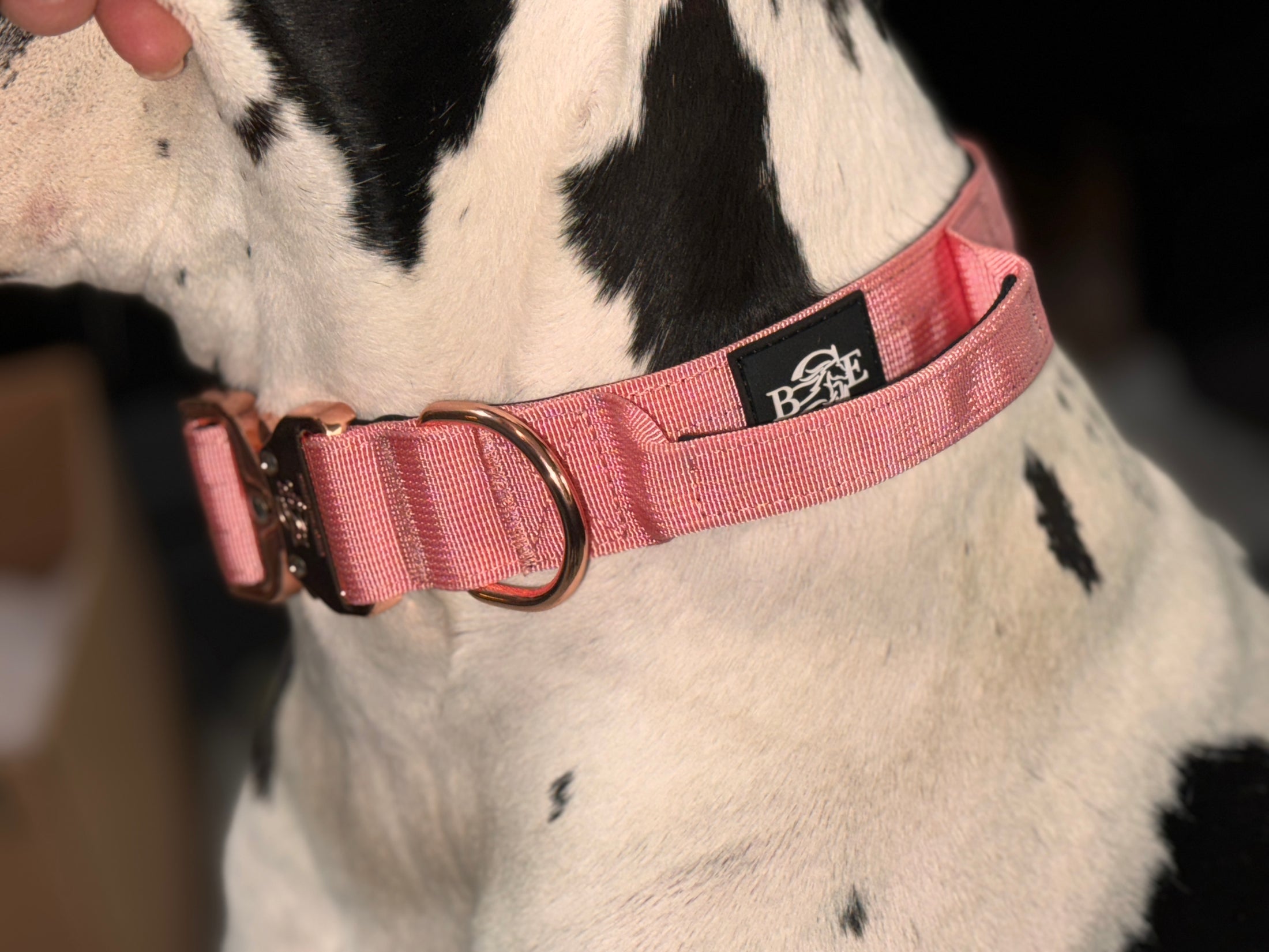 Lux Tactical Collar- Lana's Legacy 1.5" Proceed Donate