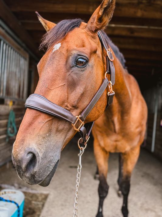 NEW ! Charm Lux 2.0 - Rose Gold, (non)Sparkle, Padded Halter