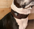 Load image into Gallery viewer, Lux Tactical Collar- Lana's Legacy 1.5" Proceed Donate
