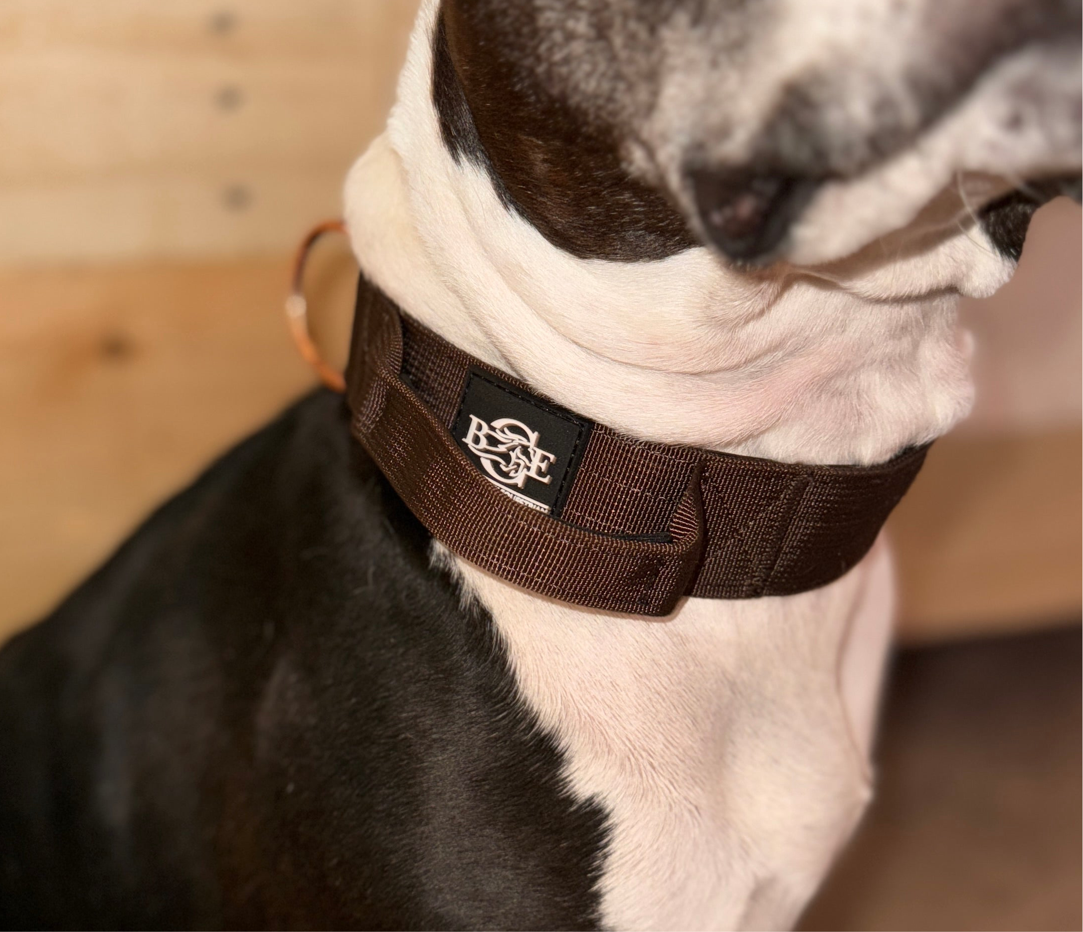 Lux Tactical Collar- Lana's Legacy 1.5" Proceed Donate