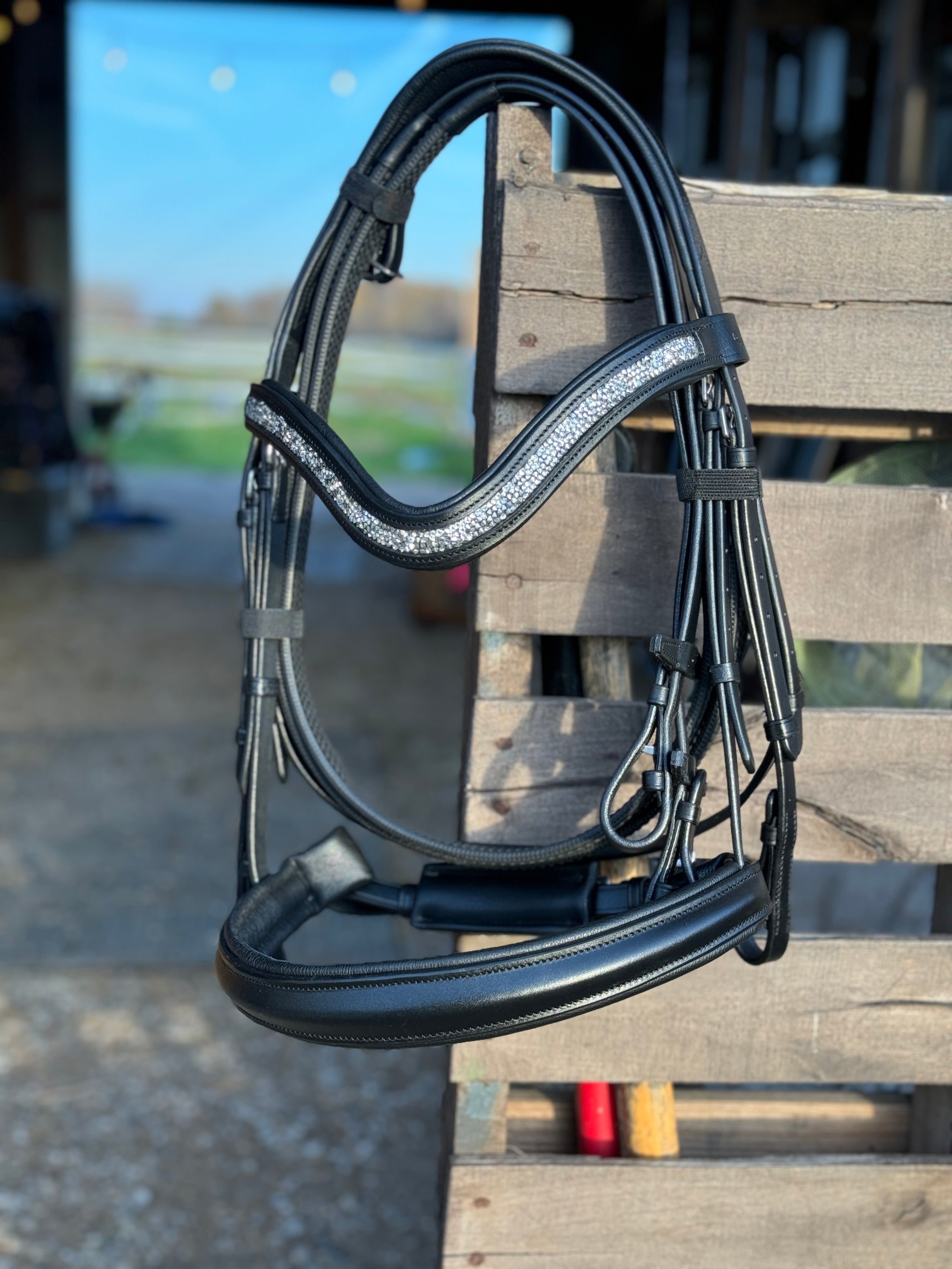 Dream Ride Padded Bridle -Black